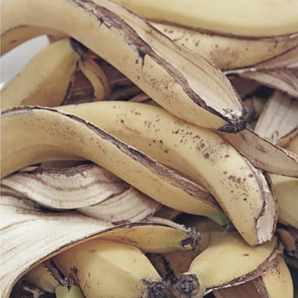 ferlilizante-cascara-banana1
