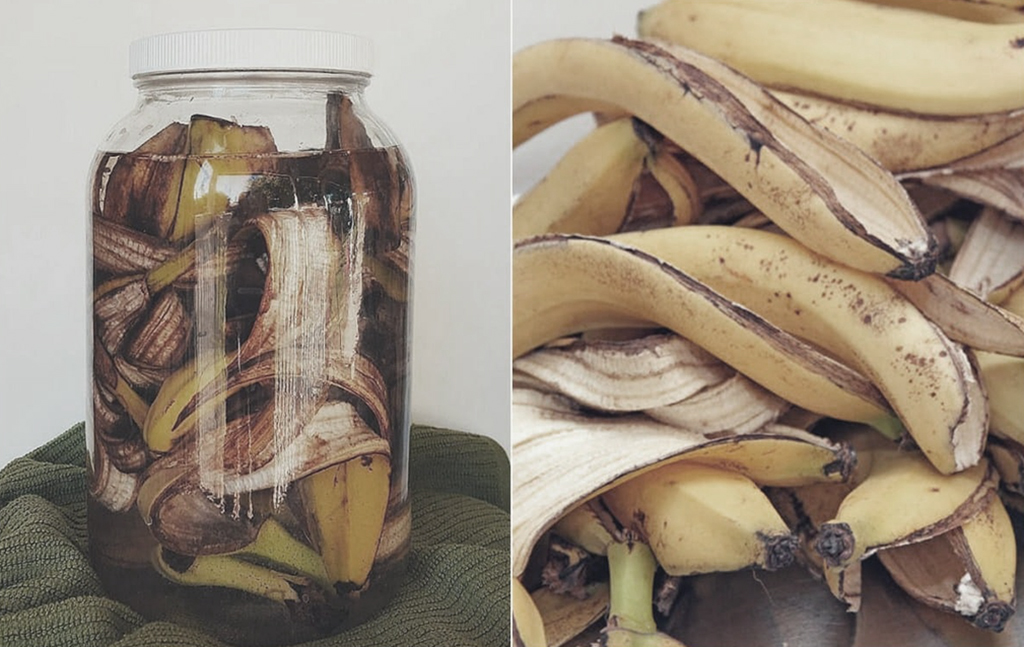 Té de Plátano