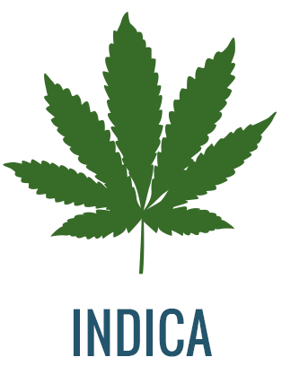 Cannabis Sativa y Cannabis Índica