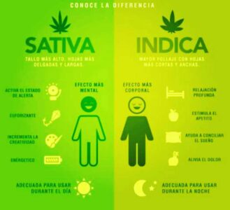 sativa-indica-efectos