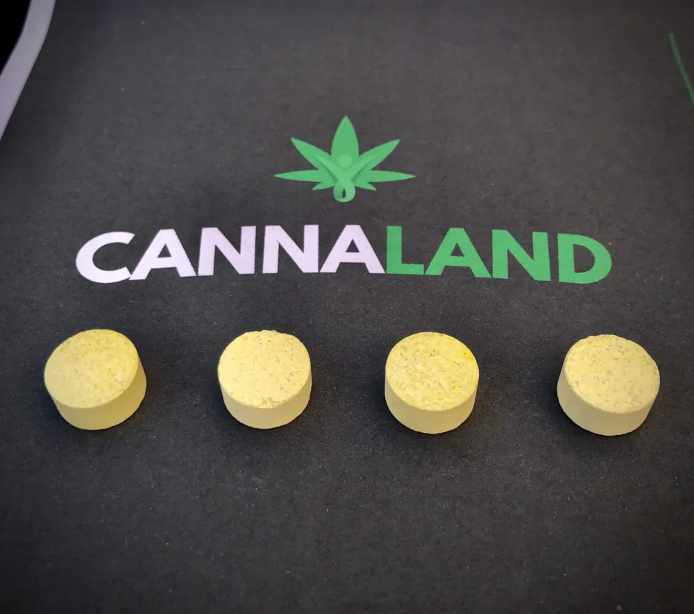 img_0040-scaled-1-jpg