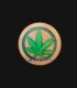 frasco-hermetico-guardar-cogollo-marihuana2-jpg