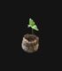 jiffy-germinar-cannabis1-jpg