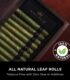 king-palm-cannaland-2-jpg