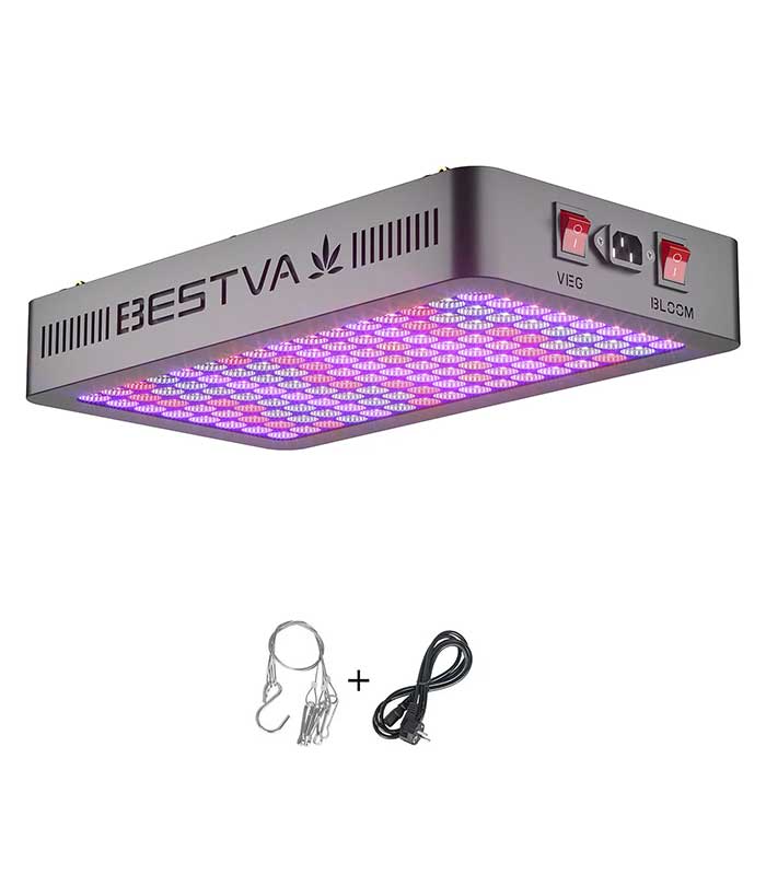 product32-jpg