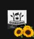 semillas-girasol-cannaland-jpg