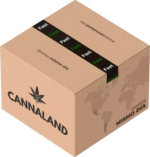 caja-envios-fast--cuadrada-cannaland