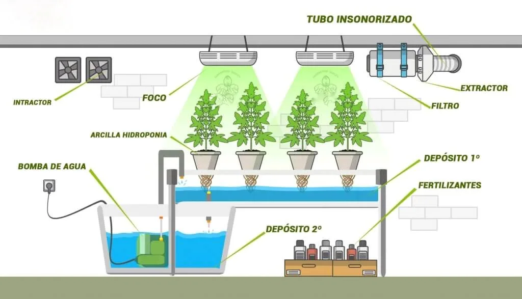 como preparar un cultivo hydroponico 1 2