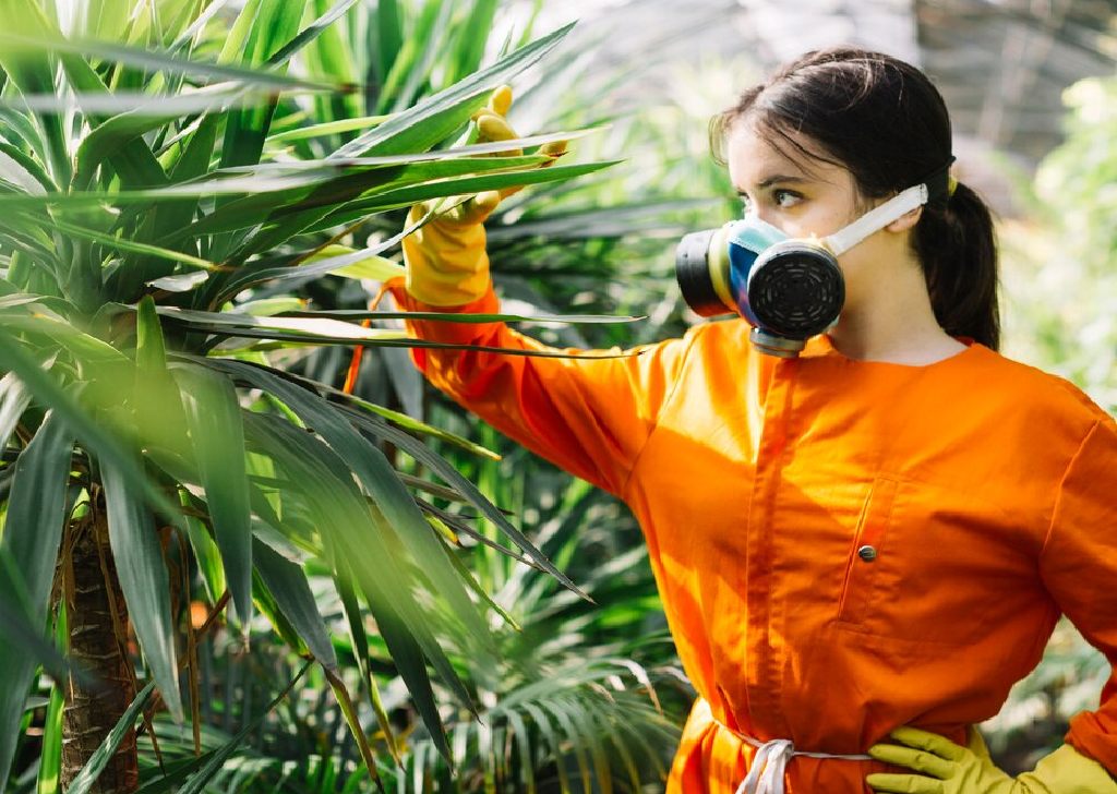 toxico de plantas 1