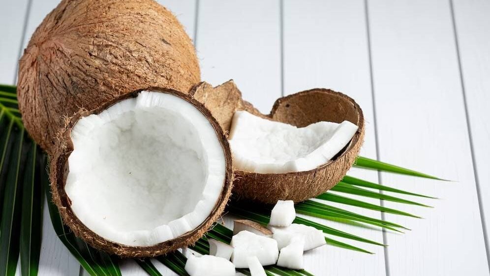 Fibra de Coco