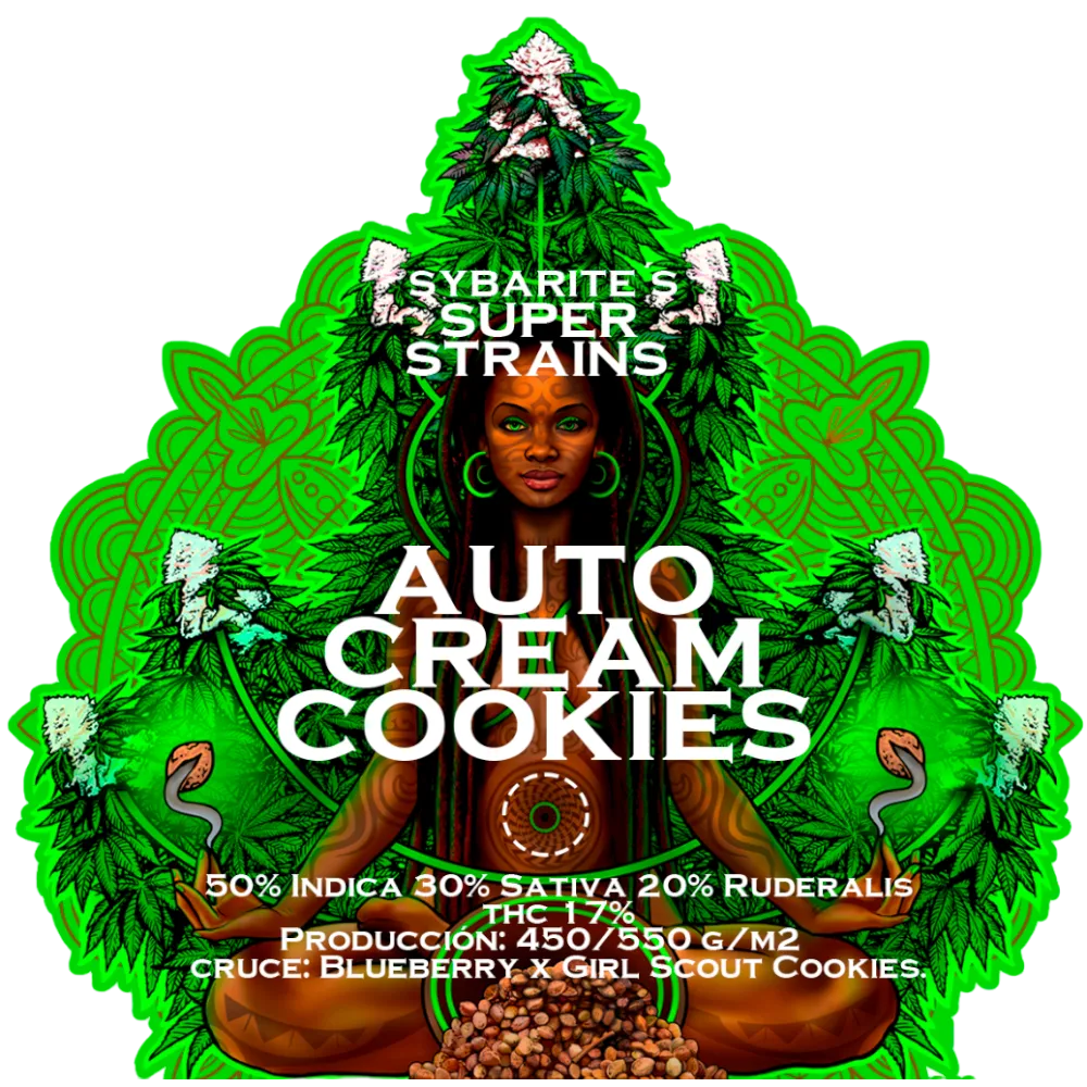 auto cream cookies semillas makka seeds