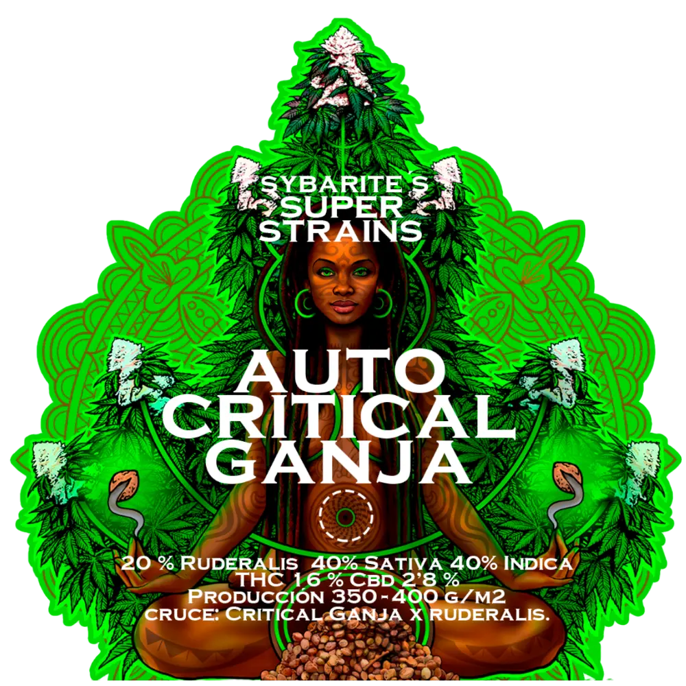 auto cream cookies | autofloreciente (copia)