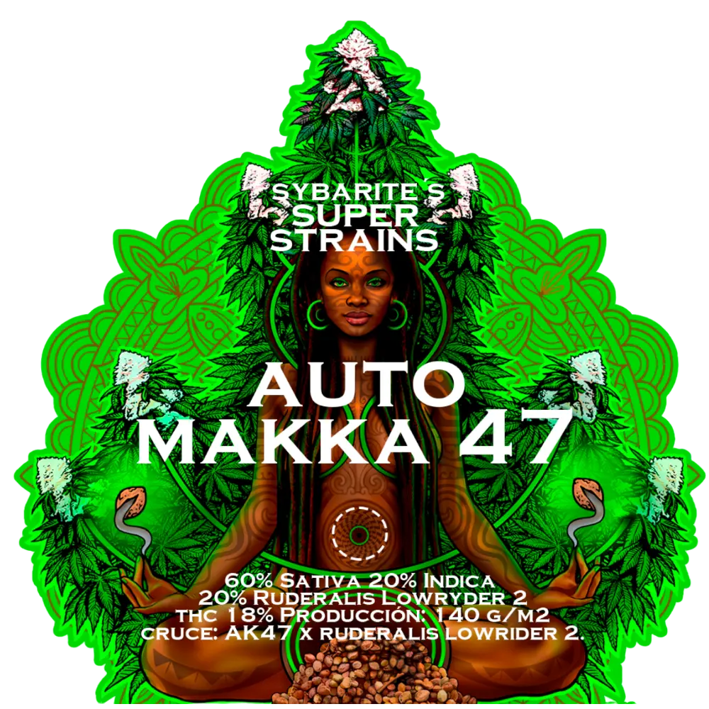 auto cream cookies | autofloreciente (copia)