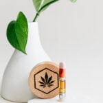 cartucho de vaporizador 1000