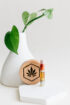cartucho de vaporizador 1000