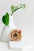 cartucho de vaporizador 1000