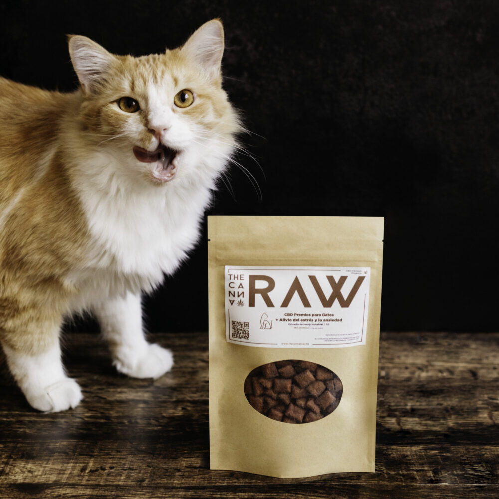 premios para gato