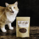 premios para gato