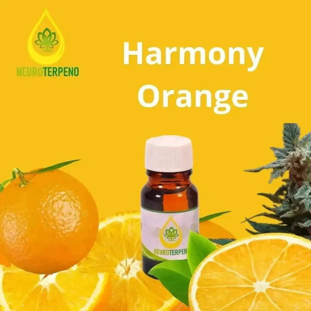 terpenos de cannabis | varios sabores | 5ml | 100% orgánicos y puros | neuroterpenos