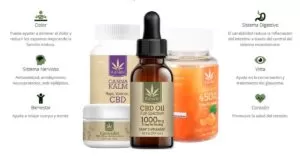 kanabi blog cannaland