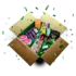 cannaland mystery cannabox | (caja sorpresa)