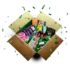 cannaland mystery cannabox | (caja sorpresa)