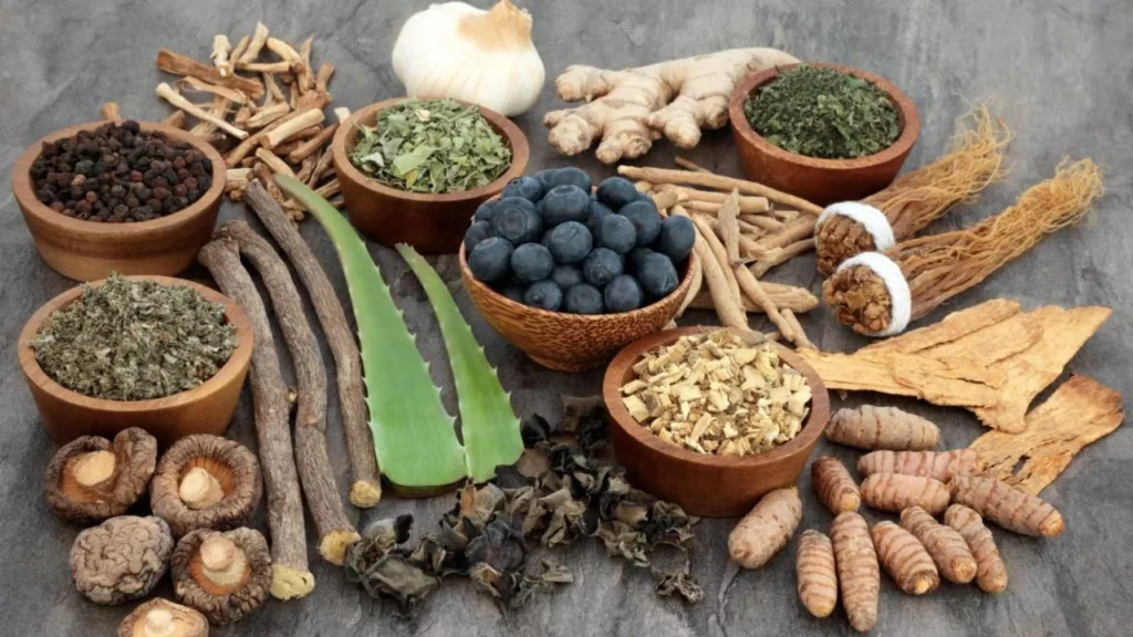 adaptogenos que son beneficios cannaland