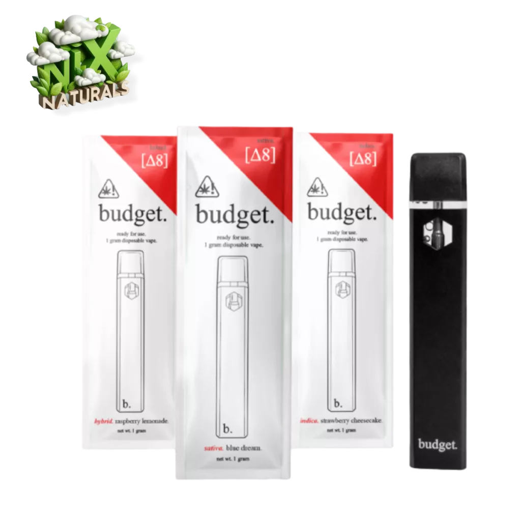 budget d8 dispos flight 1200x1200