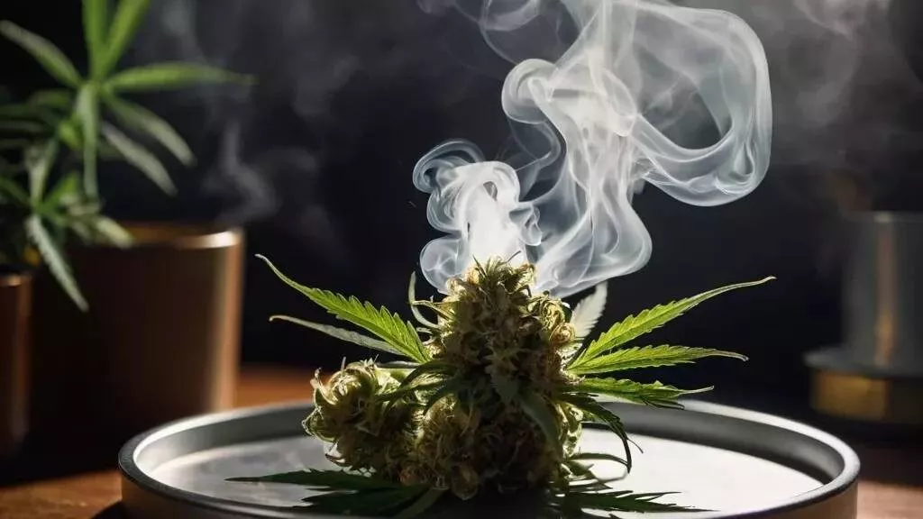 Cannabis en bandeja Descarboxilar humo