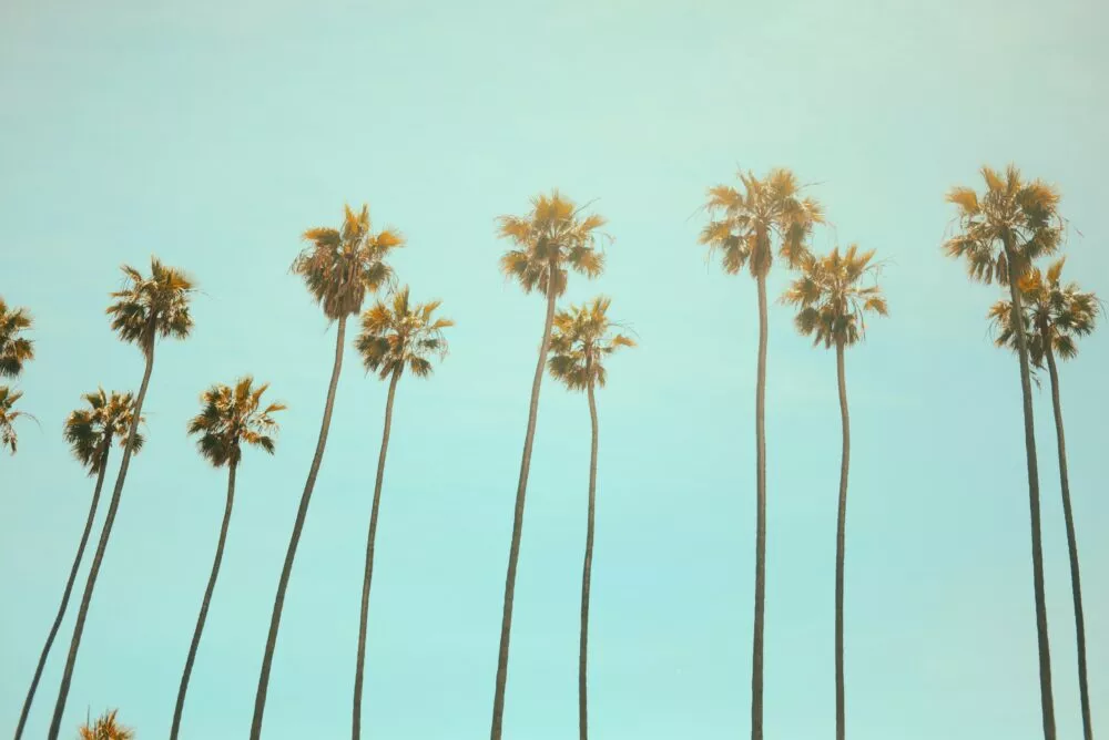 julian myles 2ygrbllbz6y unsplash