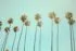 julian myles 2ygrbllbz6y unsplash