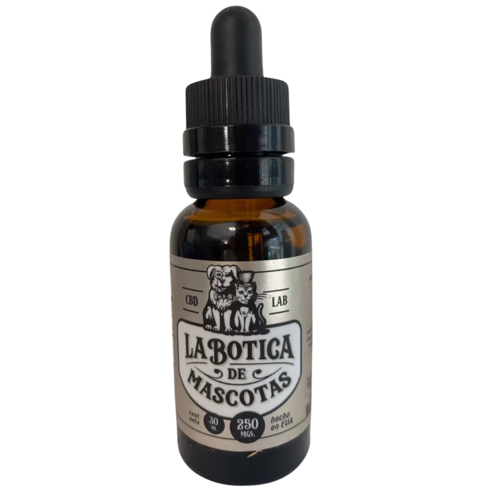 diseño sin título (3)