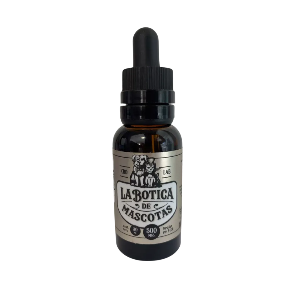 diseño sin título (4)