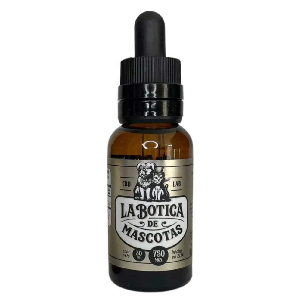 diseño sin título (5)