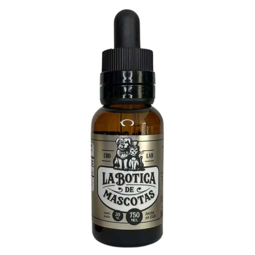 diseño sin título (5)