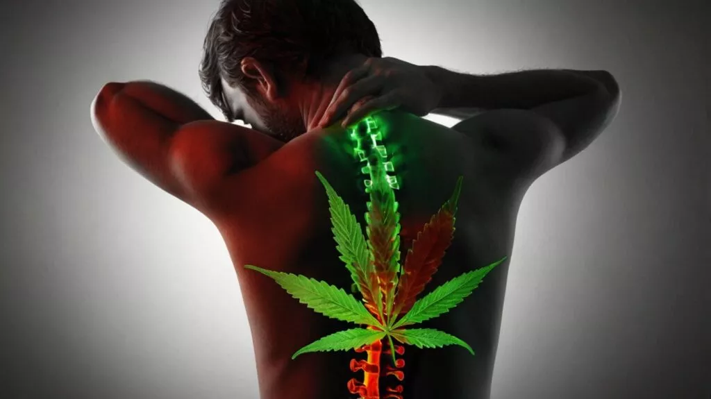 a person using medicinal cannabis to relieve 3 (1)