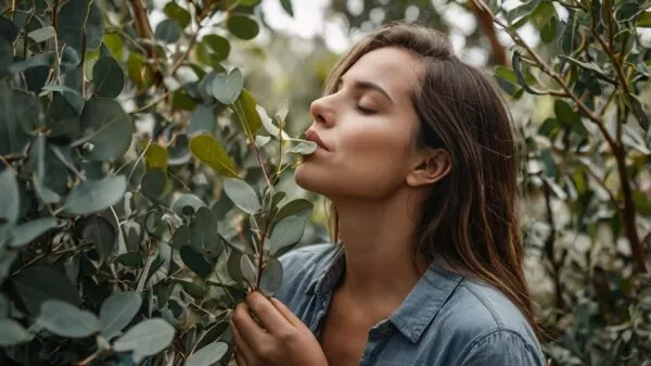 una persona olfateando una rama de eucalipto - a person smelling a eucalyptus branch