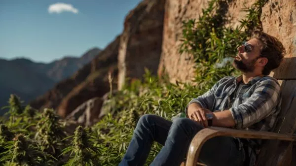 a person sitting smoking cannabis 2