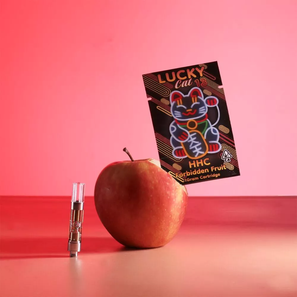 photo 2024 10 23 19 34 01 (5)