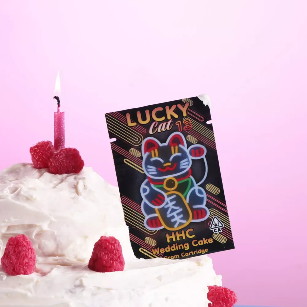 photo 2024 10 23 19 34 02 (2)