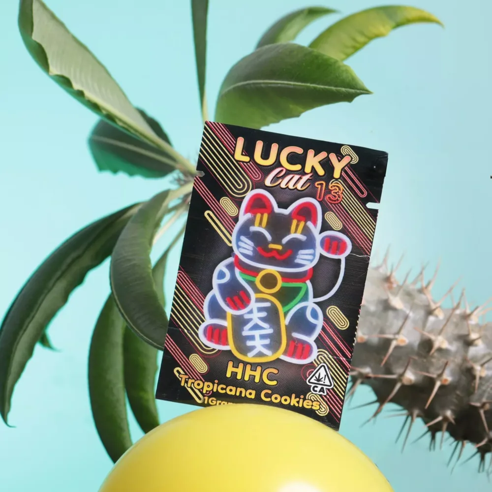 photo 2024 10 23 19 34 02