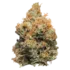 prerolados | blaze | thc a | 1 pieza | 2 gr