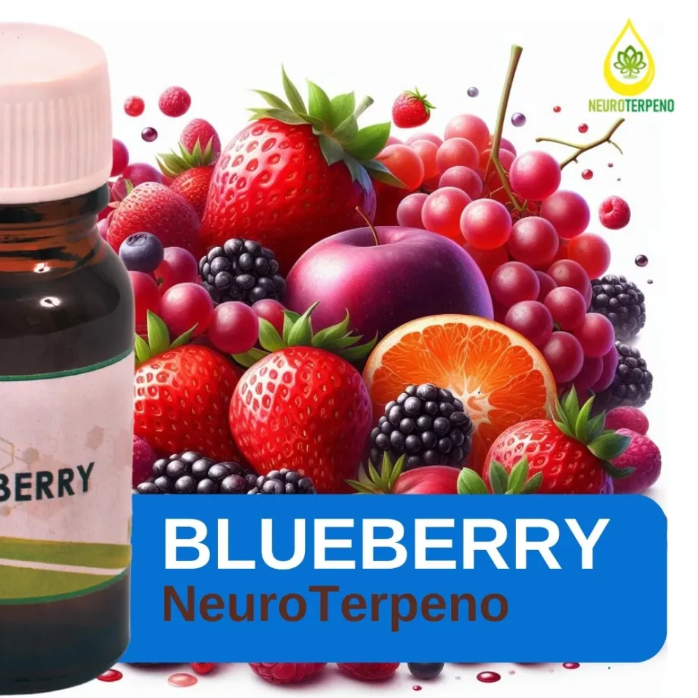 imagen de whatsapp 2024 11 20 a las 18.54.27 61e80867