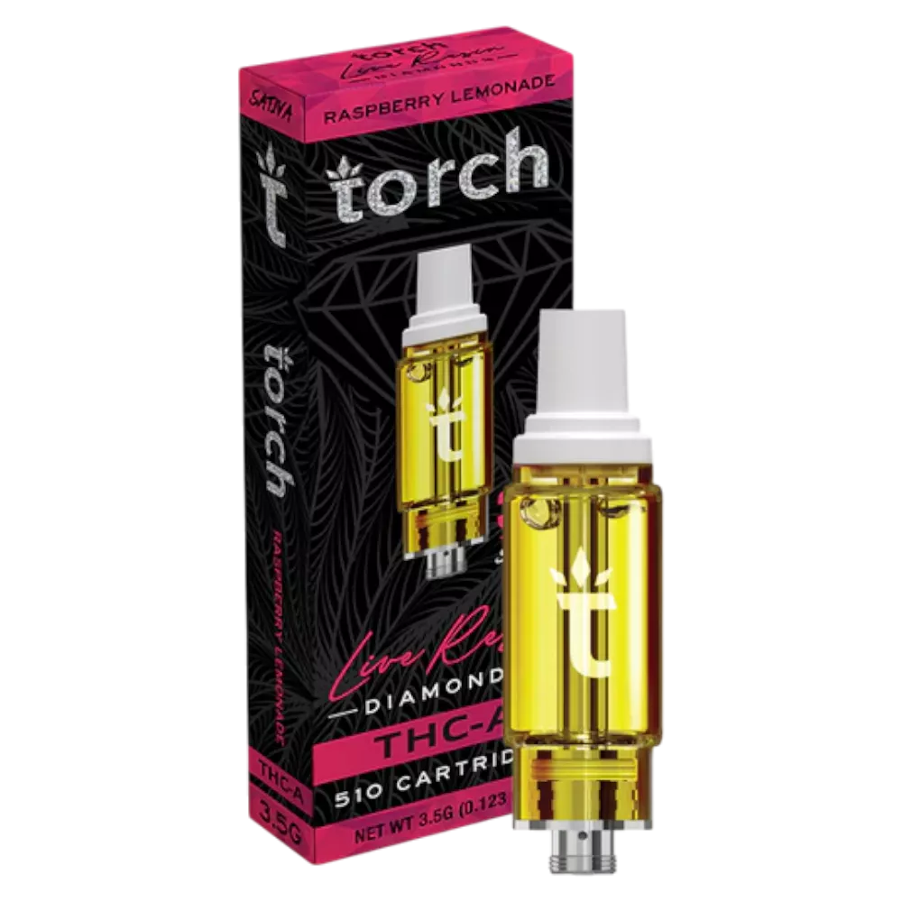 torch 3 5gcart raspberrylemonade box device 540x