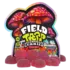 tre house | gomitas magic mushrooms | 15 piezas (copia)