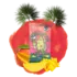 07a8f2a4 f157 4fa8 ba27 1d0ba3561831