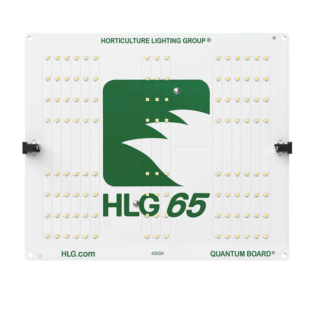 65v2 2