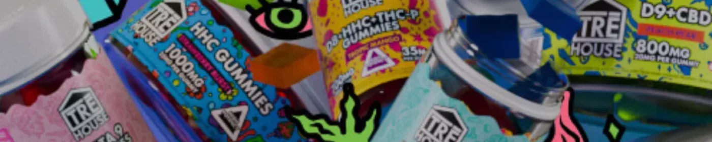 Tre House Tre House