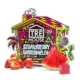 trehouse photo render gummies 20ct pouch strawberrywatermelon mar 05 2025 (3)