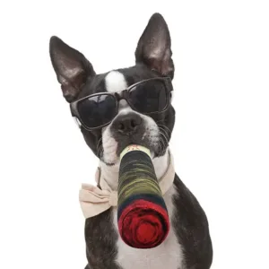 juguete de peluche para mascotas, juguete creativo para masticar para perros pequeños y grandes
